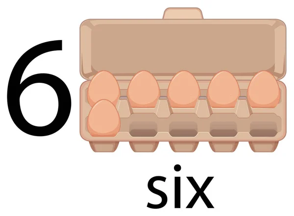 Six Egg Carton Illustration — Stock Vector