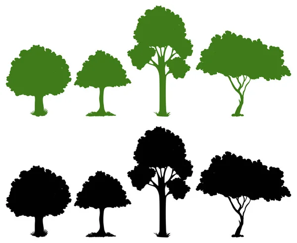 Set Silhouette Tree Illustration — Stock Vector