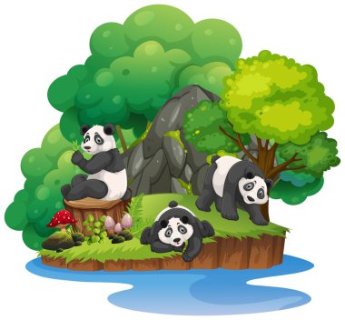 Panda illüstrasyon izole doğa ada
