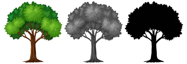 Conjunto Diferentes Desenhos Árvores Ilustração —  Vetores de Stock