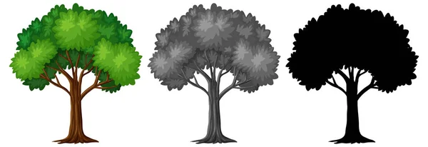 Set Von Verschiedenen Baum Design Illustrationen — Stockvektor