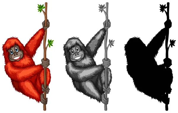Orangutan Karakter Resimde Kümesi — Stok Vektör