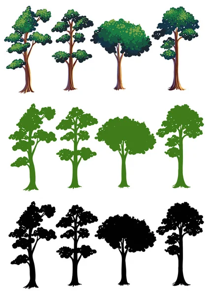 Set Different Tree Design Illustration — Stock Vector