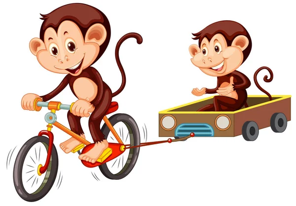 Monkey Ridning Cykel Vit Bakgrund Illustration — Stock vektor