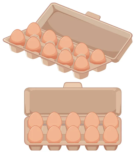 Isolated Egg Carton Illustration — Stock Vector