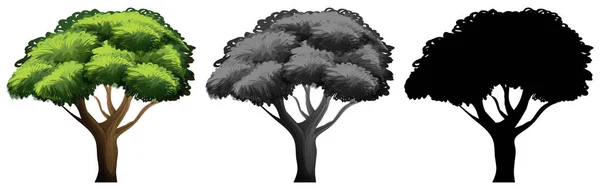Set Dari Ilustrasi Desain Pohon Yang Berbeda - Stok Vektor