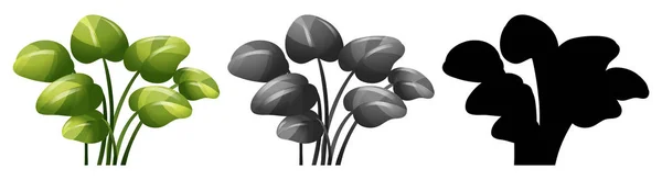 Σύνολο Φυτών Σχεδιασμό Εικονογράφηση — Διανυσματικό Αρχείο