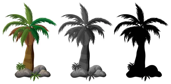 Набор Иллюстраций Дизайну Пальмы — стоковый вектор