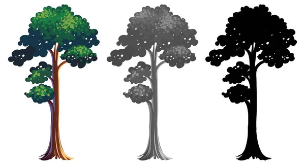 Conjunto Desenho Árvore Ilustração — Vetor de Stock