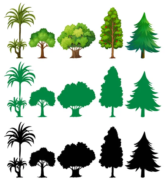 Σύνολο Διαφορετικών Εικονογραφήσεων Δέντρων — Διανυσματικό Αρχείο