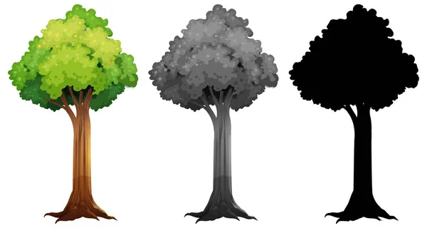 Набор Иллюстраций Дереву — стоковый вектор