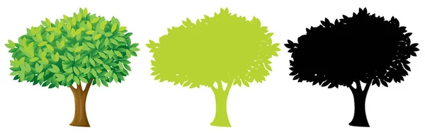 Conjunto Desenho Árvore Ilustração —  Vetores de Stock