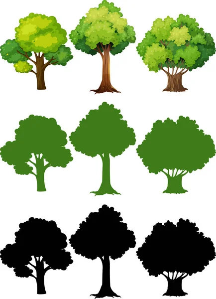 Set Different Tree Illustration — Stock Vector