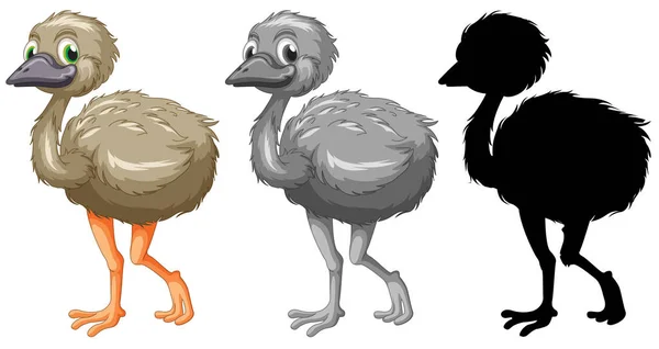 Set Illustrazione Del Carattere Emu — Vettoriale Stock