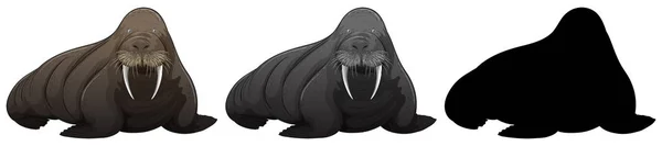 Set Walrus Karakter Illustratie — Stockvector