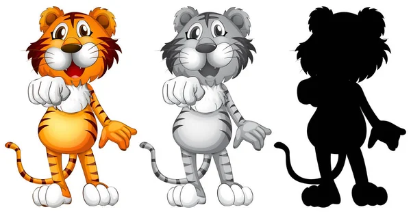 Set Tiger Character Illustration — Stock Vector