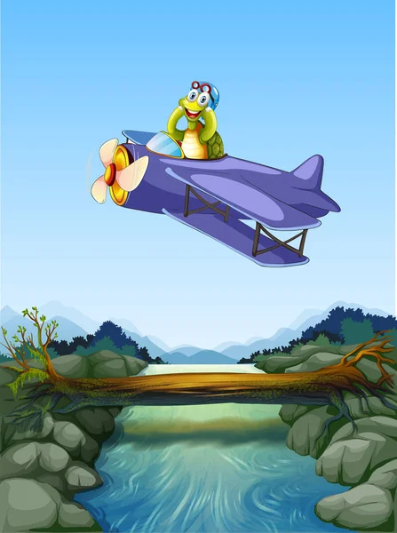海龟骑马飞机例证 — 图库矢量图片