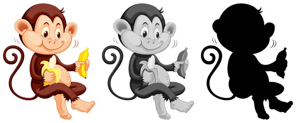 Set Monkey Eating Banana Illustration — Stock Vector