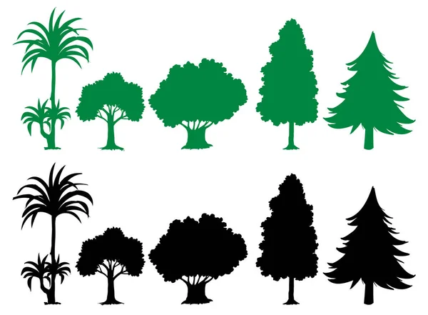 Uppsättning Siluett Träd Illustration — Stock vektor