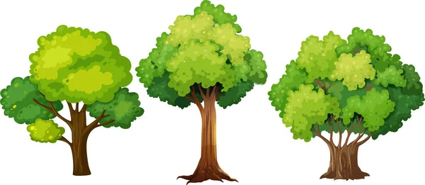 Conjunto Diferentes Desenhos Árvores Ilustração — Vetor de Stock