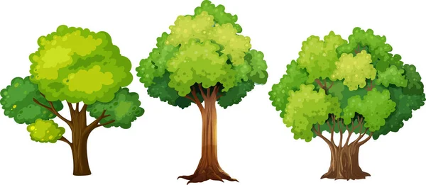 Set Different Tree Design Illustration — Stock Vector