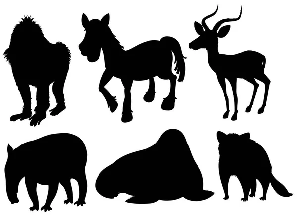 Набор Иллюстраций Экзотических Животных — стоковый вектор