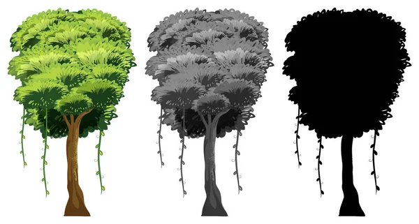 Ensemble Illustration Conception Arbre — Image vectorielle