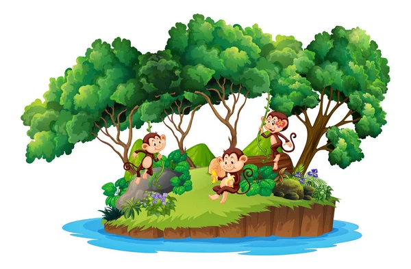 Macaco Ilustração Ilha Isolada — Vetor de Stock