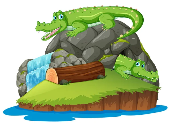 Krokodil Illustratie Geïsoleerd Eiland — Stockvector