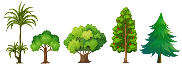 Conjunto Ilustración Árbol Diferente — Vector de stock