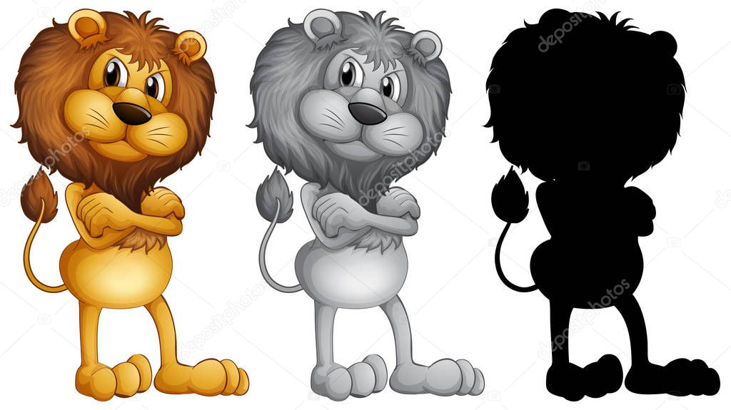 Set of male lion standing illustration