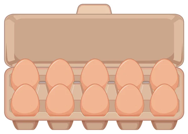 Ізольоване Яйце Картонній Ілюстрації — стоковий вектор