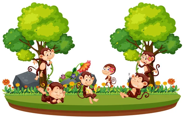 Wild Monkey Forest Illustration — Stock Vector