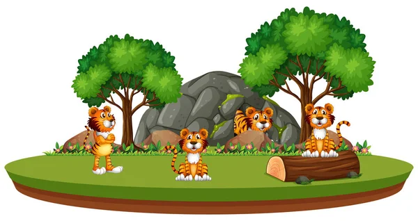 Tygr Izolované Přírodní Ilustrace — Stockový vektor