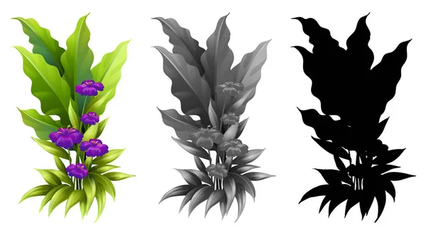 Set of flower plant illustration