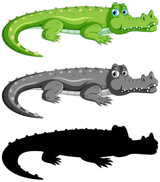 Uppsättning Krokodil Vit Bakgrund Illustration — Stock vektor