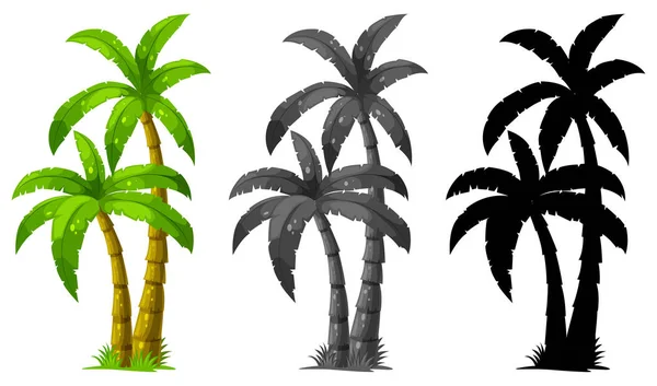 Zestaw Ilustracji Drzewa Palmowego — Wektor stockowy