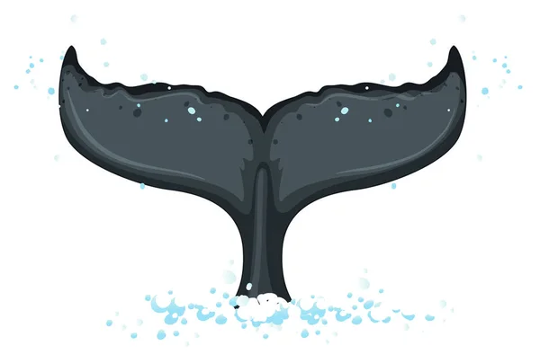 ザトウクジラ イラストの尻尾 — ストックベクタ