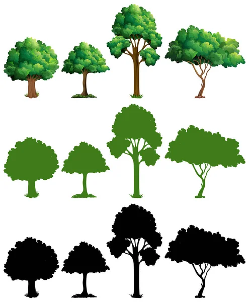 Reihe Von Baum Design Illustrationen — Stockvektor