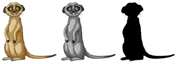 Set Meerkat Cartoon Character Illustration — Stock Vector