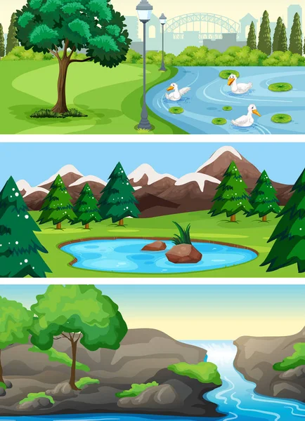 Conjunto Ilustración Del Parque Natural Rural — Vector de stock