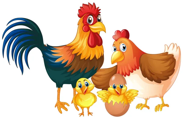 Isolated Chicken Family White Background Illustration — Stock Vector