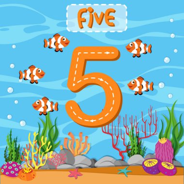 Beş numaralı izleme kılavuzu