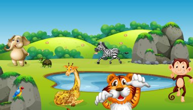 doğada vahşi hayvan