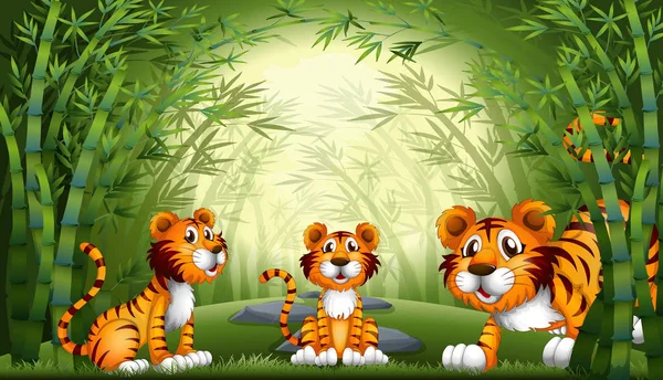 Groep Tiger bij Bamboo forest — Stockvector