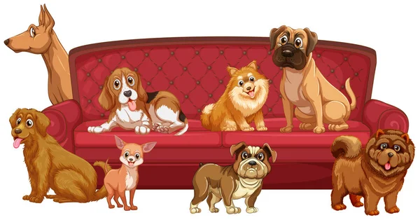 Różne rasy psów na kanapie — Wektor stockowy