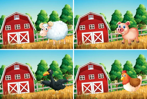 Set of animal at the farm — Stock Vector