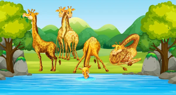 Groep van giraffe in de natuur — Stockvector