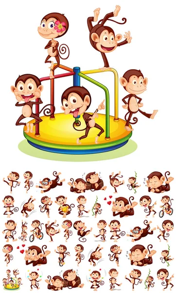 Set of different monkeys — Stock Vector