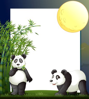 Panda ve bambu sınır şablonu